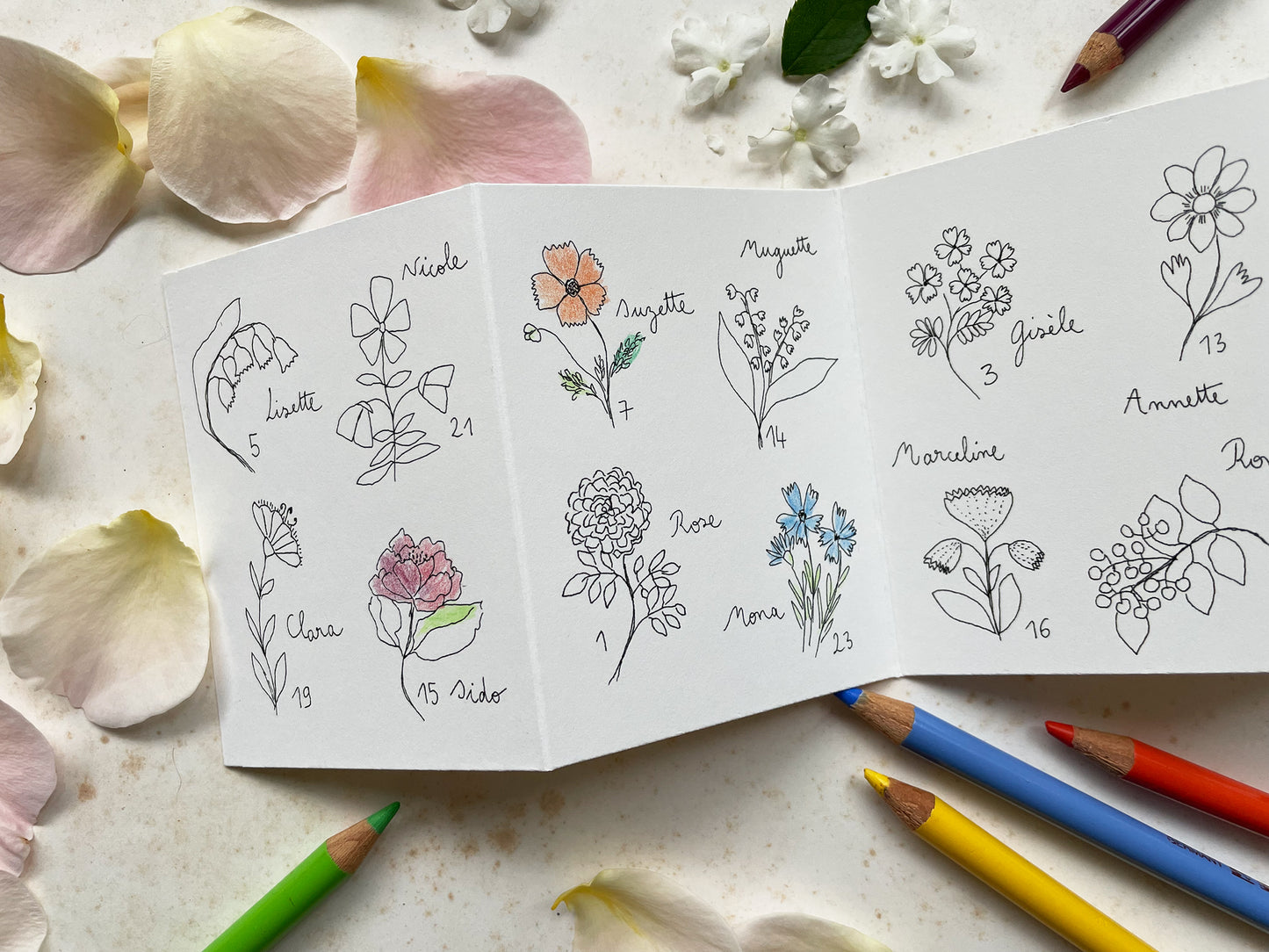 Accordéon Fleurettes de l'Avent