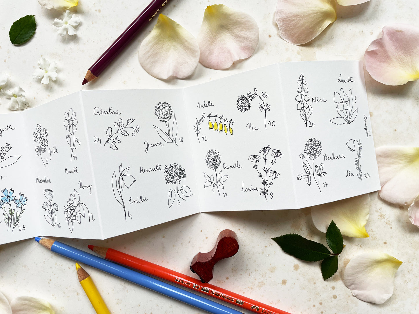 Accordéon Fleurettes de l'Avent