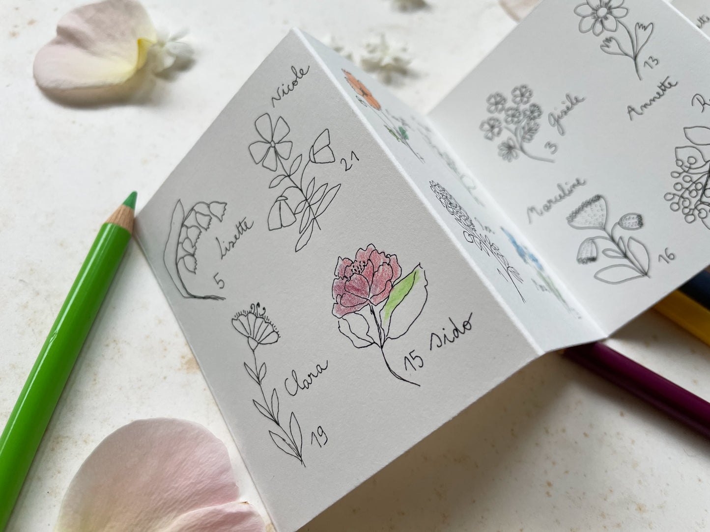 Accordéon Fleurettes de l'Avent