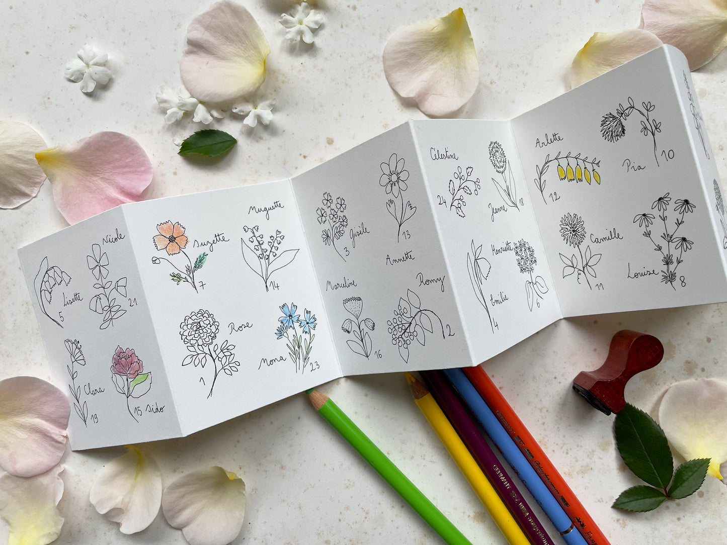 Accordéon Fleurettes de l'Avent