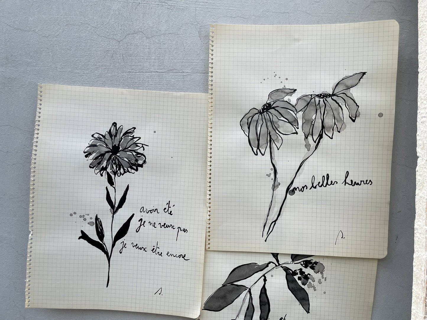 Dessins originaux