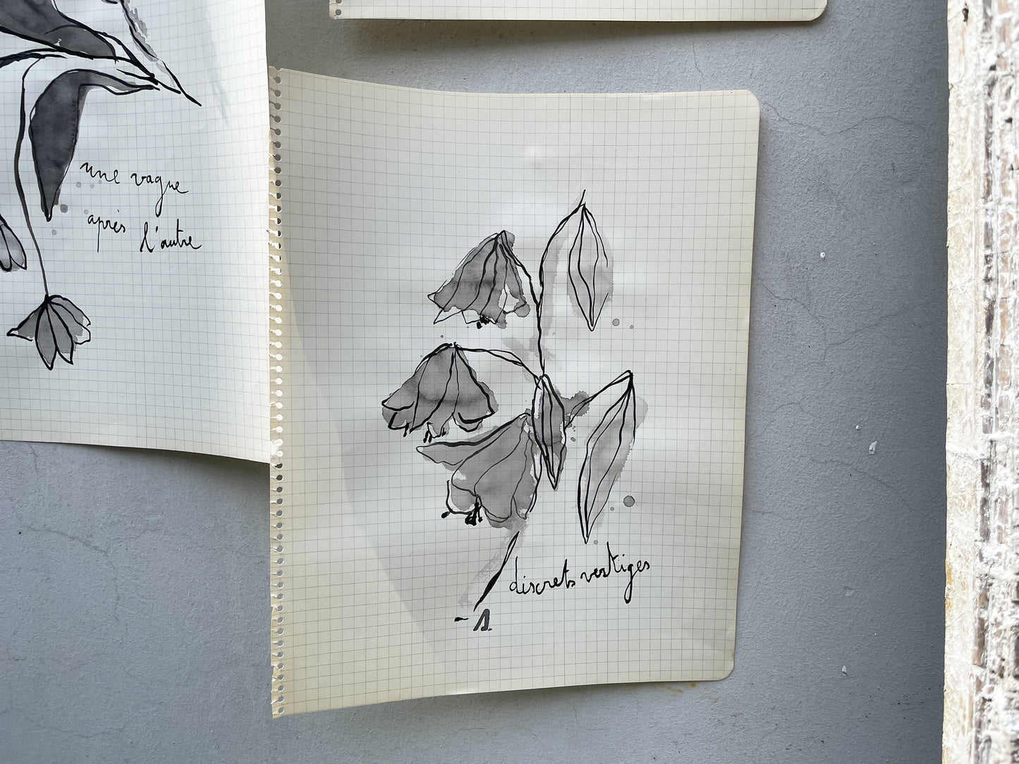 Dessins originaux