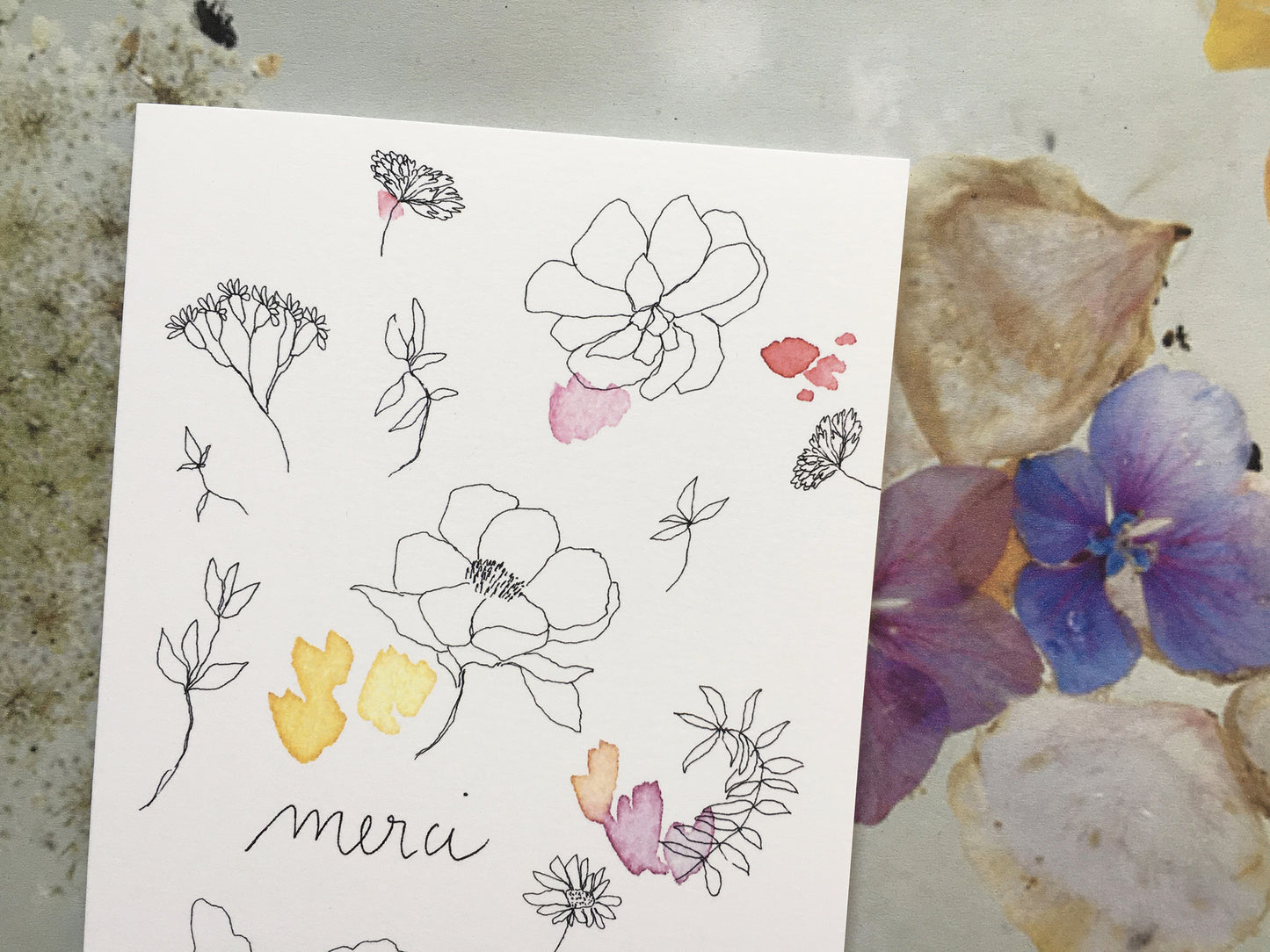 Merci (Eglantine)