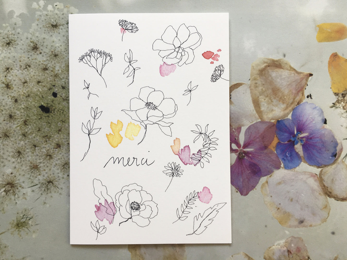 Merci (Eglantine)