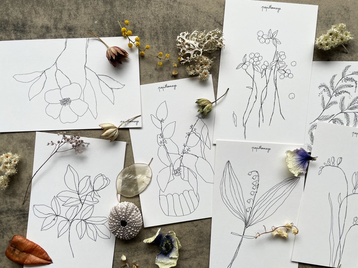 Lot de huit petites cartes