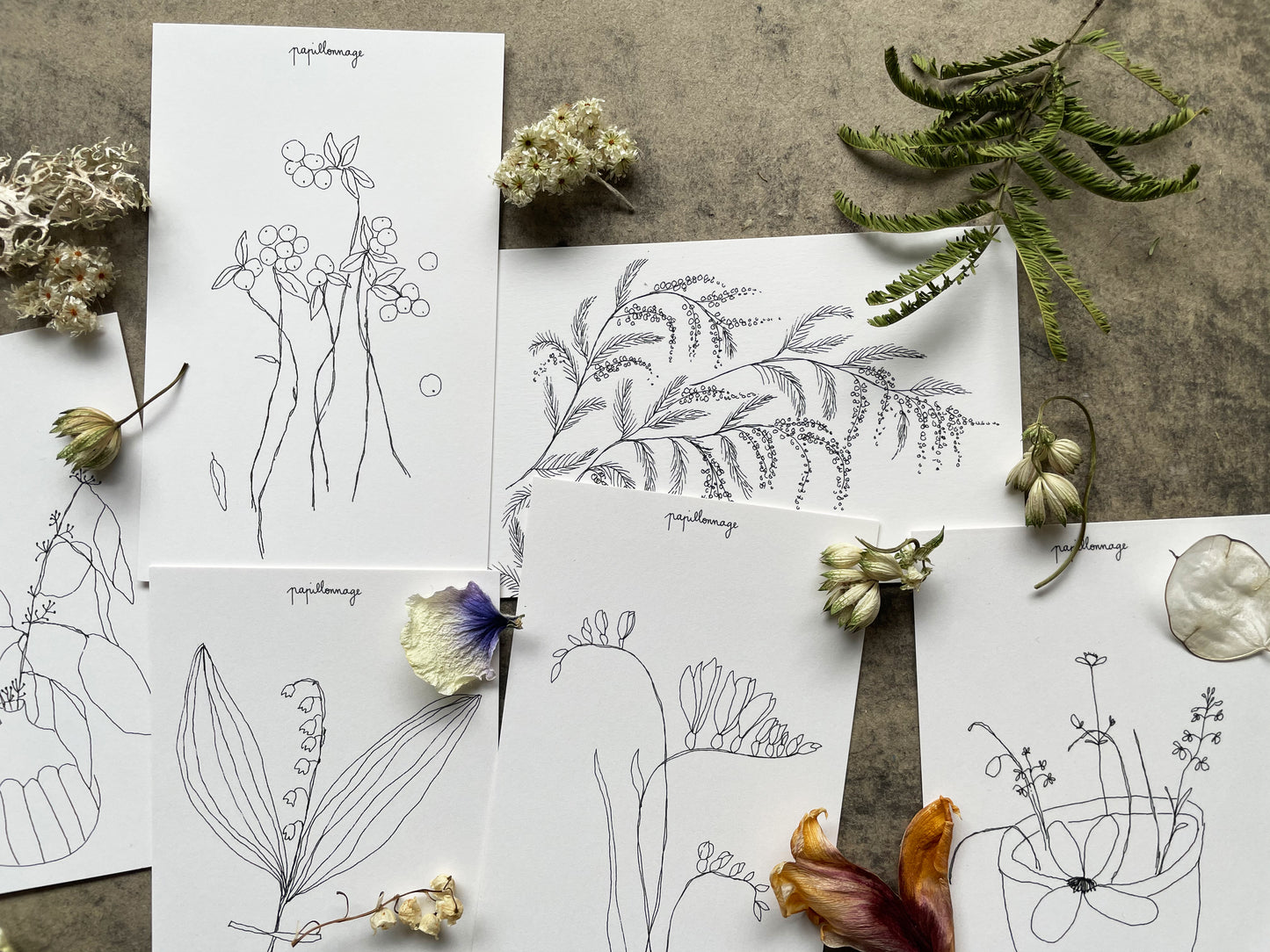 Lot de huit petites cartes