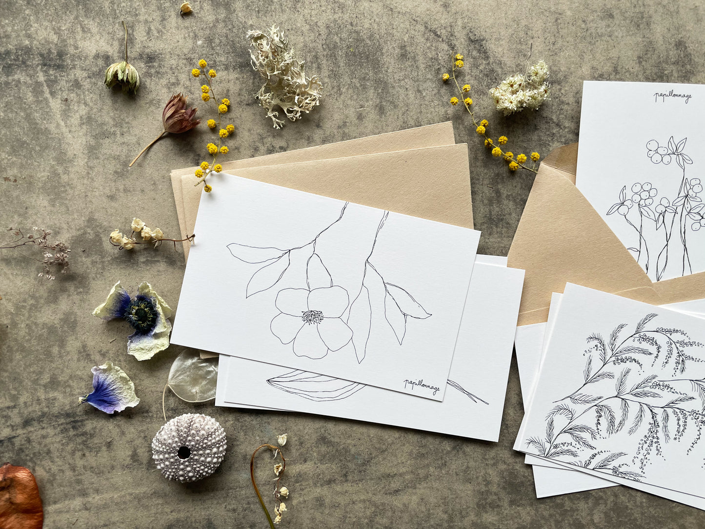 Lot de huit petites cartes