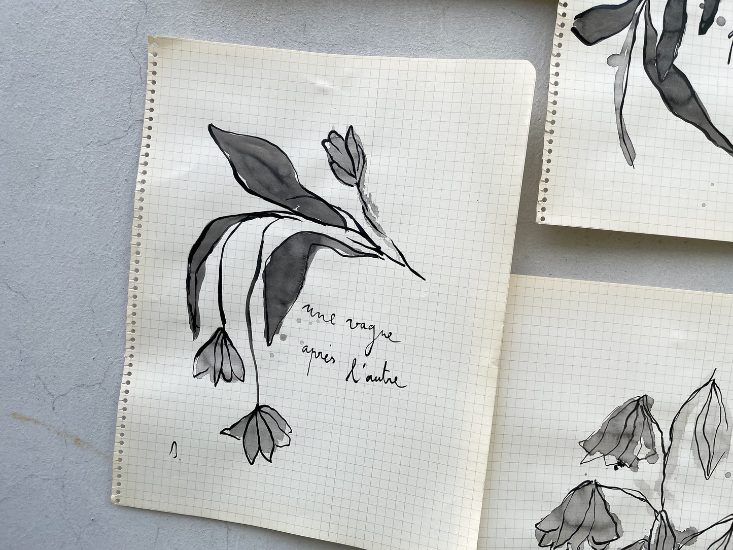 Dessins originaux