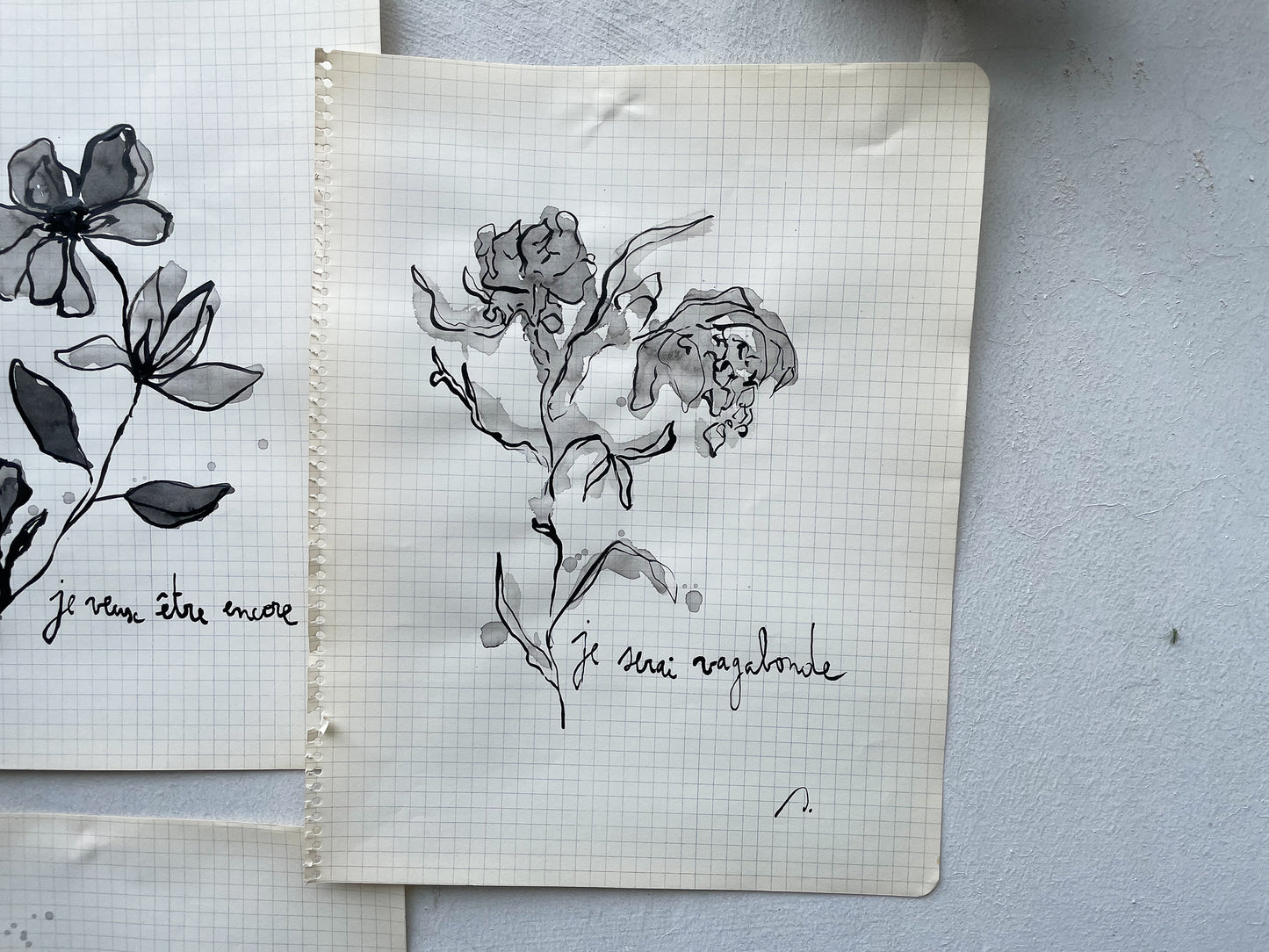 Dessins originaux