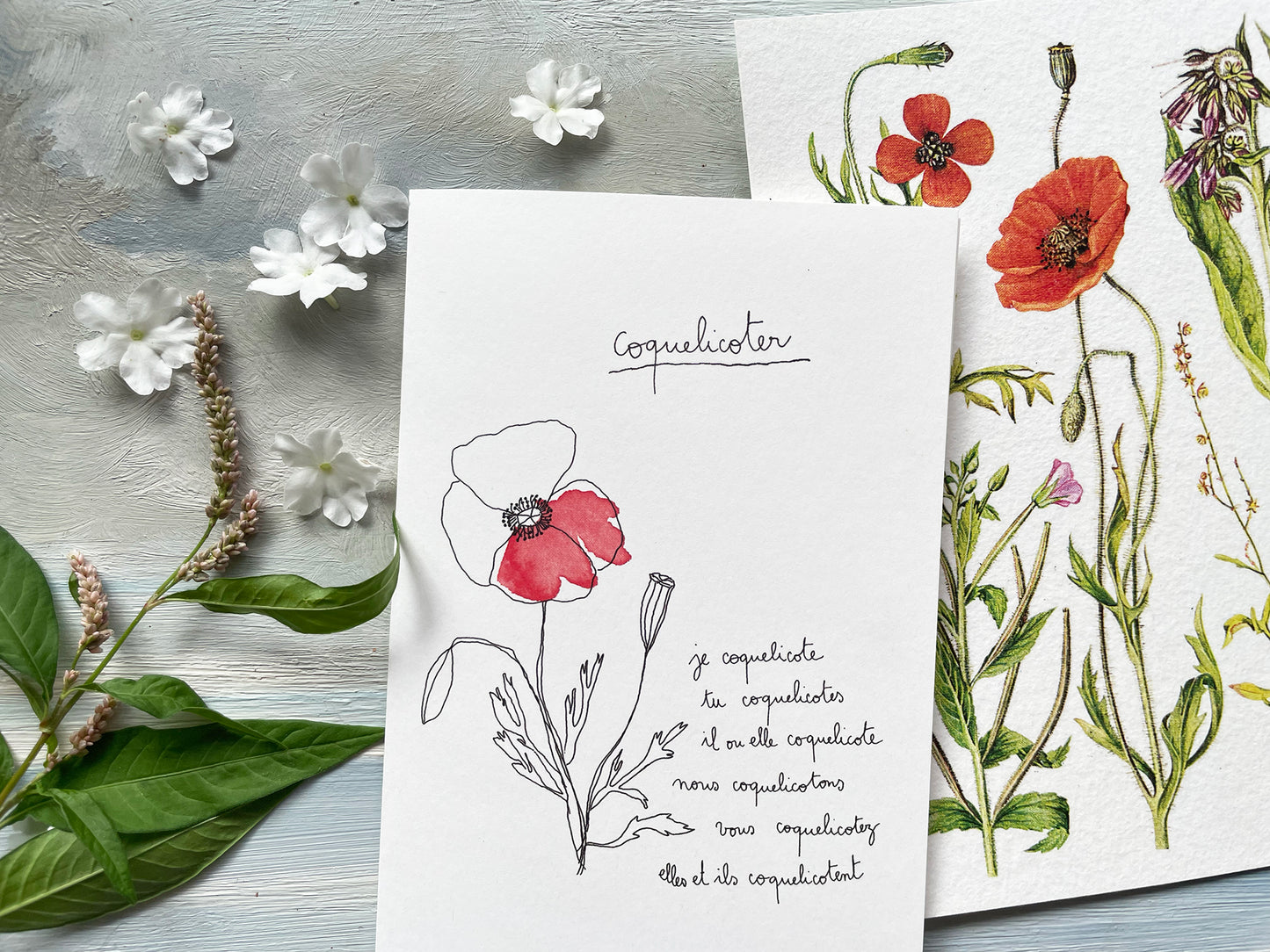 Coquelicoter - B2B