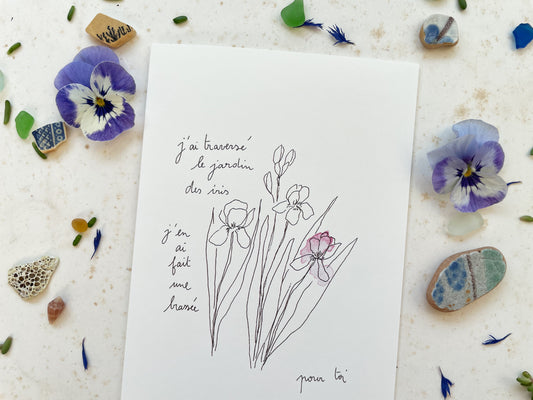 Le jardin des iris - B2B